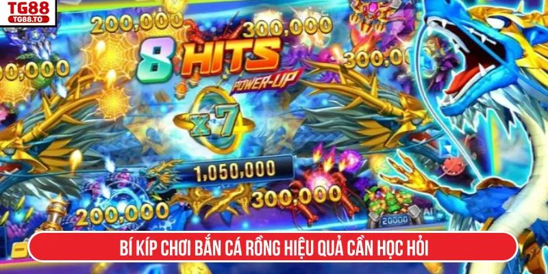 Bí kíp chơi bắn cá rồng hiệu quả cần học hỏi