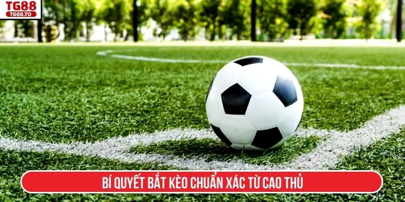 Bí quyết bắt kèo chuẩn xác từ cao thủ