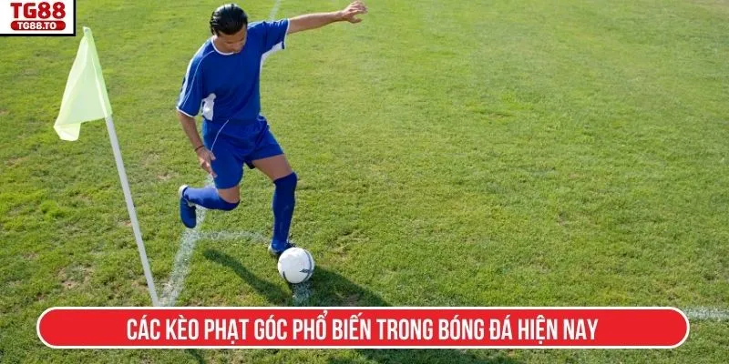 Các kèo phạt góc phổ biến trong bóng đá hiện nay
