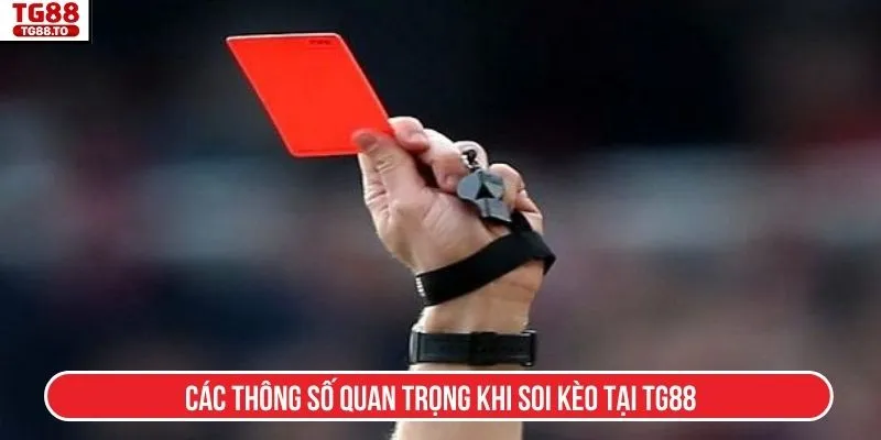Các thông số quan trọng khi soi kèo tại TG88