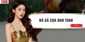 Đá Gà Cựa Dao TG88 - Trải Nghiệm Cá Cược Kịch Tính