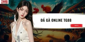 Đá Gà Online TG88 - Trải Nghiệm Hấp Dẫn Với Cơ Hội Thắng Cao