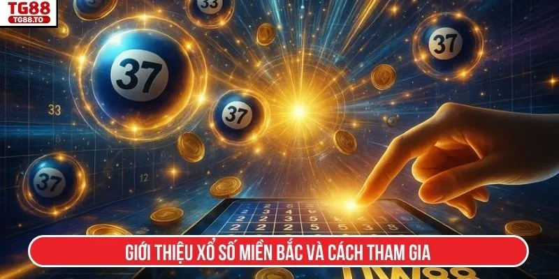 Giới thiệu xổ số miền Bắc và cách tham gia