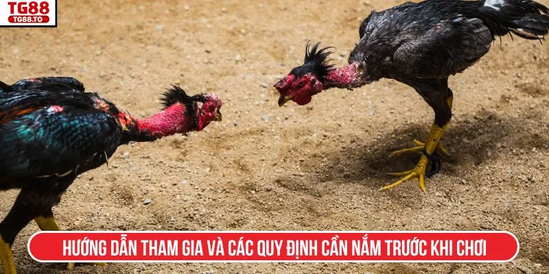 Hướng dẫn tham gia và các quy định cần nắm trước khi chơi
