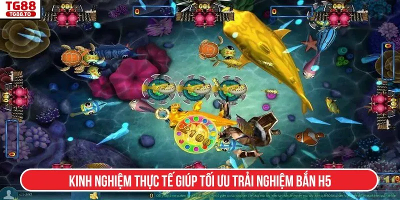 Kinh nghiệm thực tế giúp tối ưu trải nghiệm bắn H5