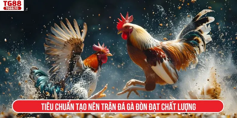 Tiêu chuẩn tạo nên trận đá gà đòn đạt chất lượng
